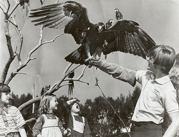 Martin at Busch Gardens